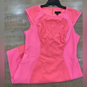 Ted Baker Jineen Mesh Hot Pink fitted Midi Dress 5